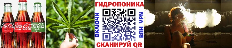 Печенье с ТГК конопля  нарко площадка официальный сайт  Киренск 