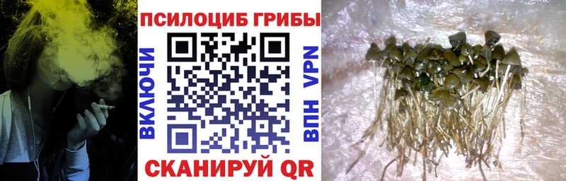 Псилоцибиновые грибы Magic Shrooms  Киренск 